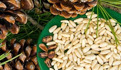 Noci di cedro per migliorare la potenza